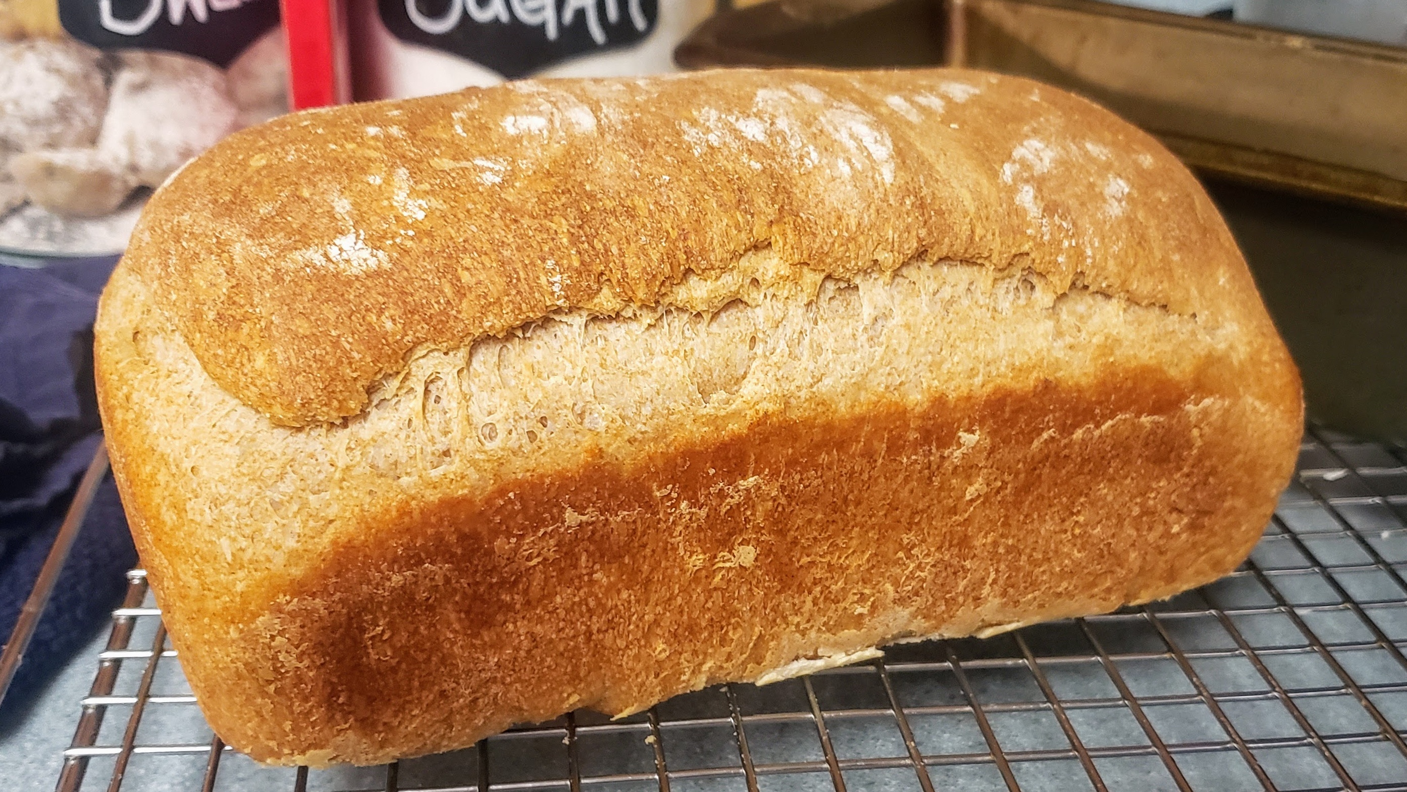 sourdough sandy